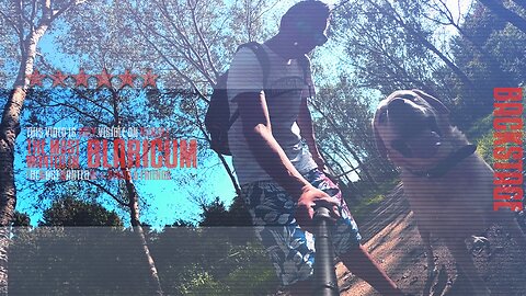 TheMostWantedIn | Blaricum