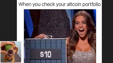 Memes That Will 99.0379% Make You Laugh. (e603) (Market crush special)