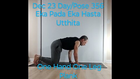 Eka Pada Eka Hasta Utthita / One Hand One Leg Plank Pose
