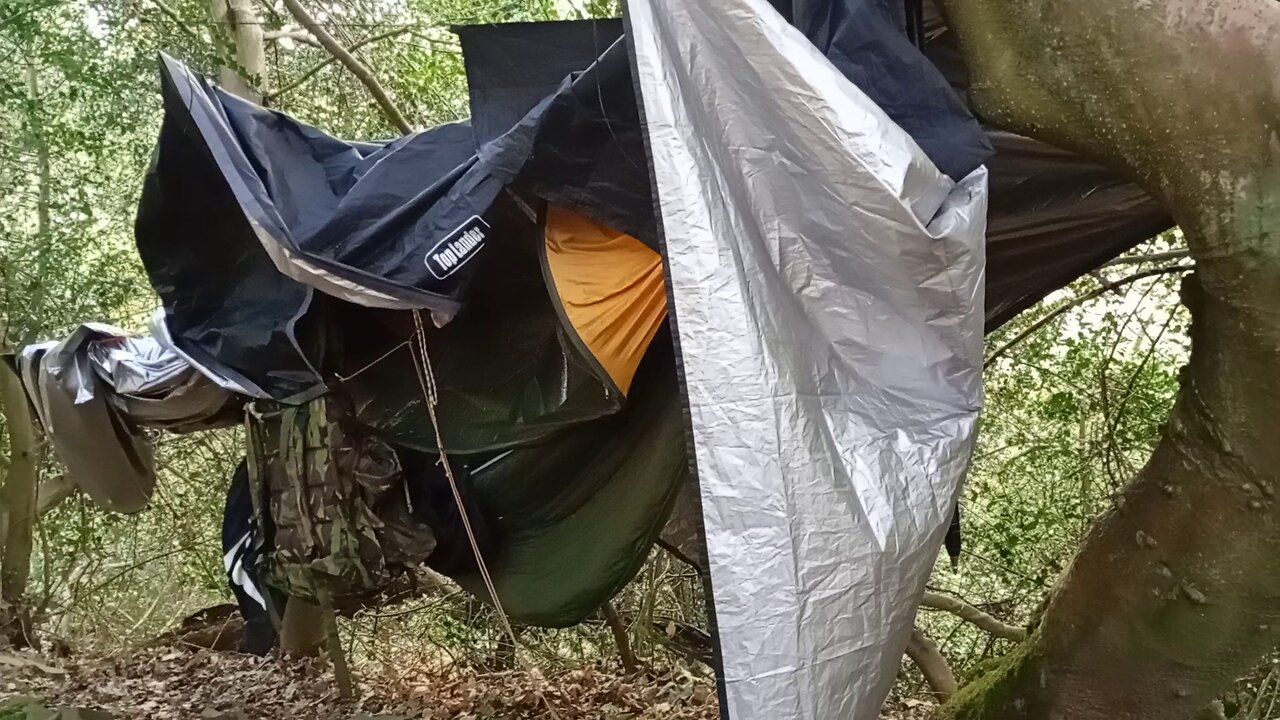 12, morning after the storm,, #2025, @ashoffgrid,