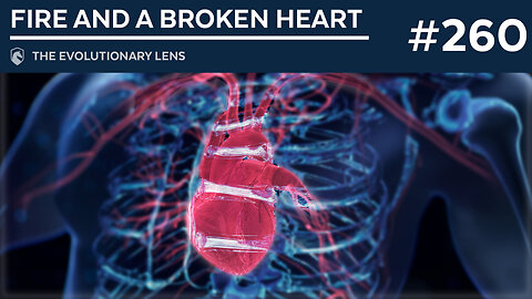 Fire and a Broken Heart: The 260th Evolutionary Lens with Bret Weinstein and Heather Heying