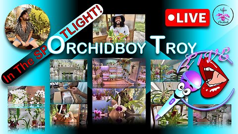 Bienvenido @OrchidboyTroy to the Patio | Hang Out Chat Chill Gawk & Talk #ninjaorchids