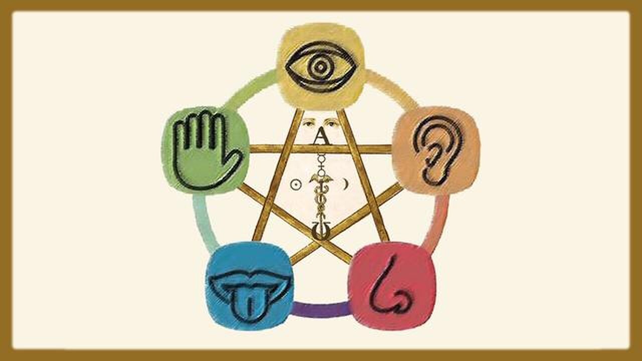 Mental Food - Greg Reese