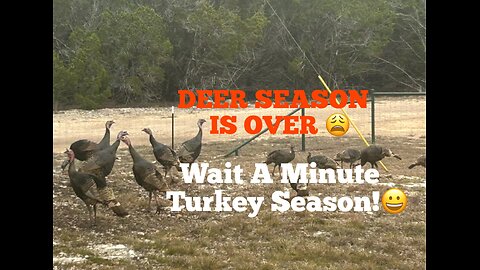 Deer Season Is Over WAIT A MINUTE Turkey Season!