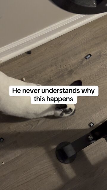 He’s seen this so many times