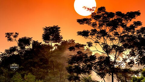 Shape My Heart in Steady Ways | Original Christian Worship Song | BibleGrit