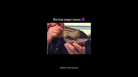 Bro has anger issues