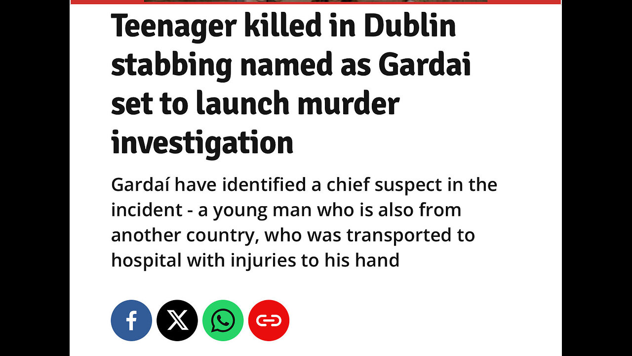 RTE is claiming “certain elements” might weaponise yesterday’s brutal attack by an asylum seeker.