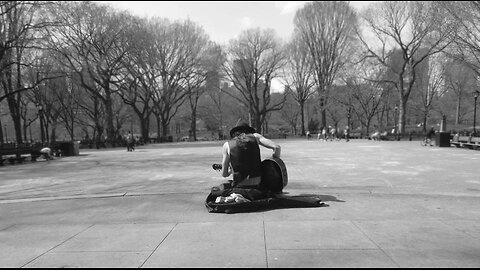 Michael James Fry LIVE at the Central Park Bandshell