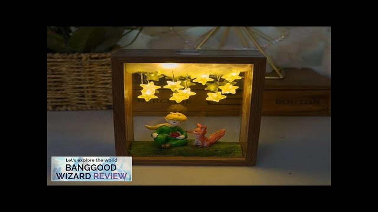 The Little Prince Night Light Handmade DIY Photo Frame Starry Fox Rose Review