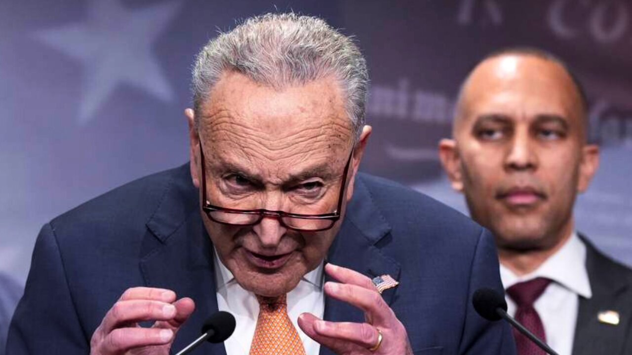 Hilarious Leftist Meltdowns Over Democrats Caving on Schumer Shutdown