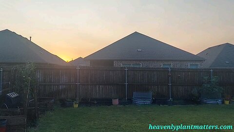 Summer Sunrise! 3 minutes