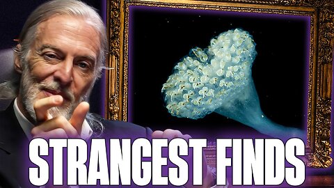 The Strangest Creatures Ever Found in the Deep Ocean