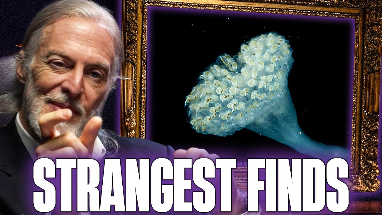 The Strangest Creatures Ever Found in the Deep Ocean