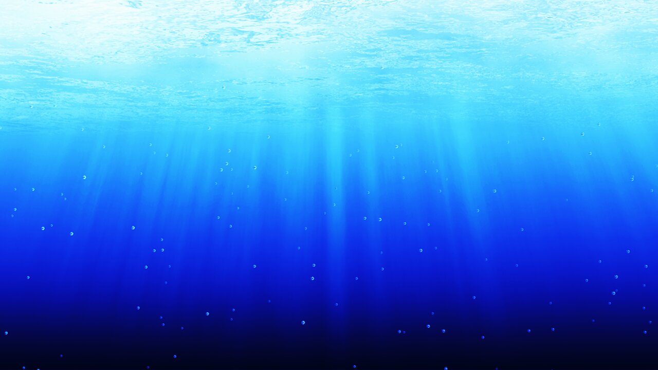 Nobels fredspris 2025