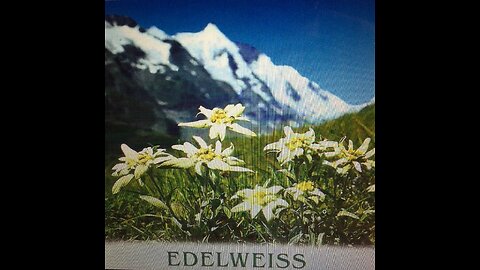 Islamic Call to Prayer Music Subjugates Individual Sovereignty Part IV-Lyrics & Melody