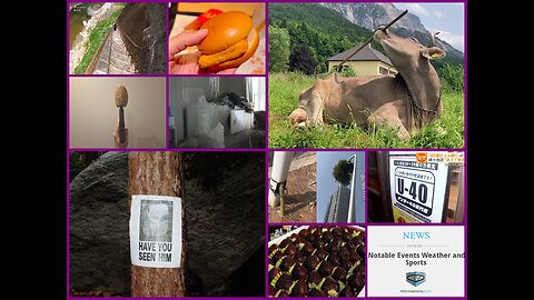 WEIRD WEEKLY RECAP - Ice Apartment, Potato Suppressor, Cow Using Tool AND MORE! 01-24-2026