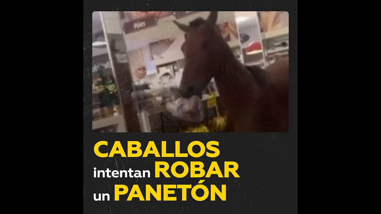 Dos caballos intentan un robo en una panadería de Brasil