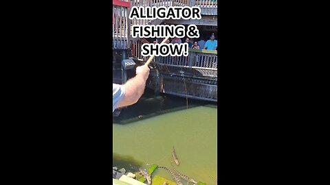 ALLIGATOR FISHING AND SHOW IN DESTIN BEACH FLORIDA!