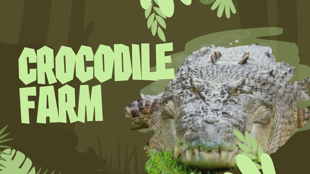 Crocodile Wonderland: An Adventure Awaits!