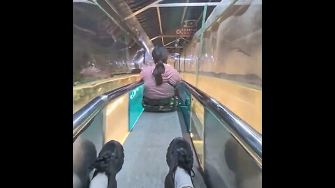 Así es el descenso de la montaña Laojun en China