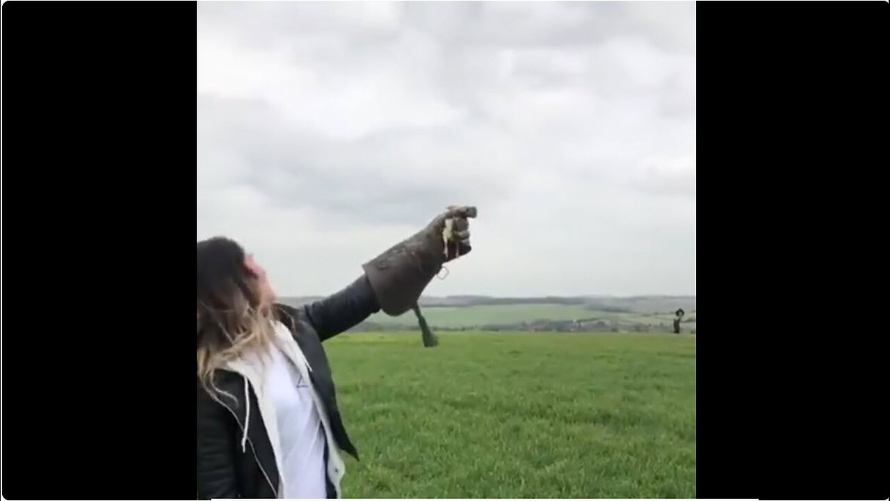 Have You Ever Seen A Sea Eagle?