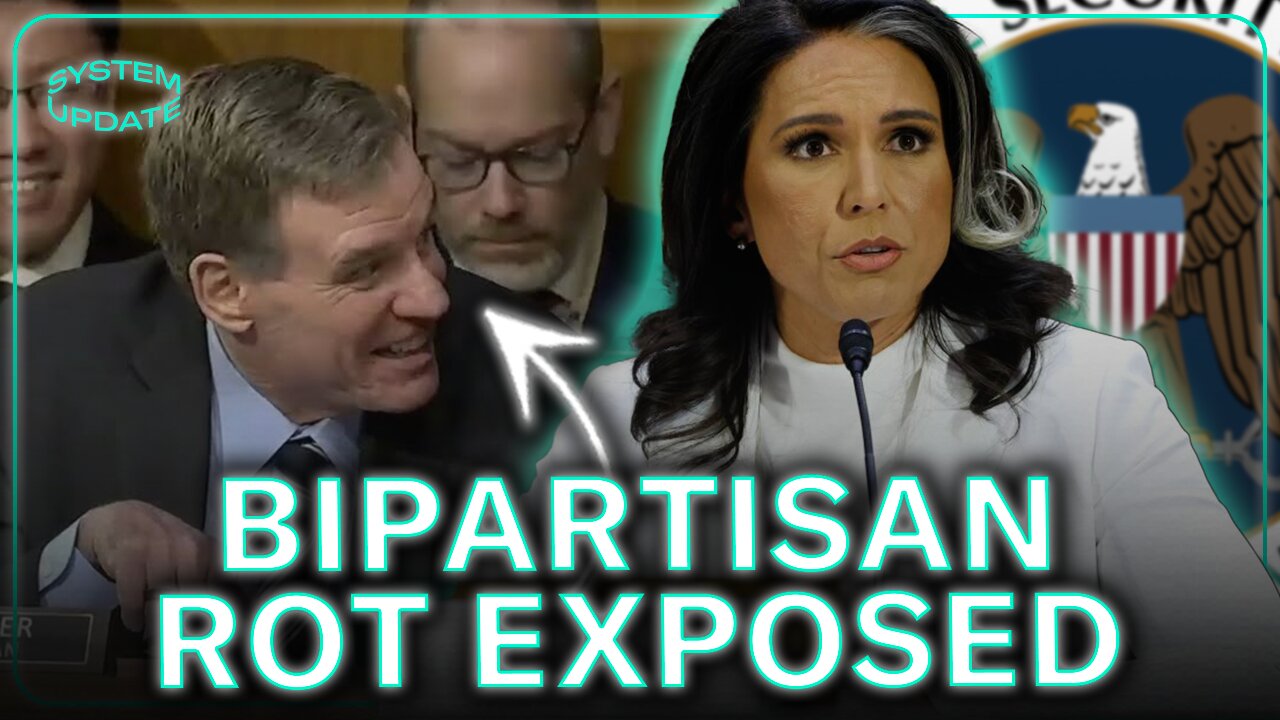 Tulsi Attacked by Security State for Challenging DC Swamp