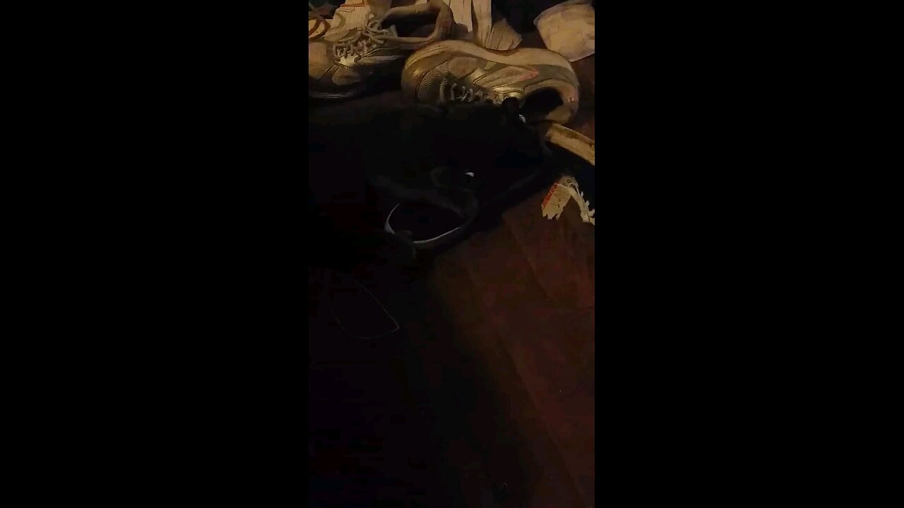 windigo attacking my shoes 😂