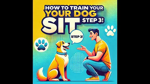 "How to Train Your Dog to Sit – Step 3 | Beginner Dog Training Guide"