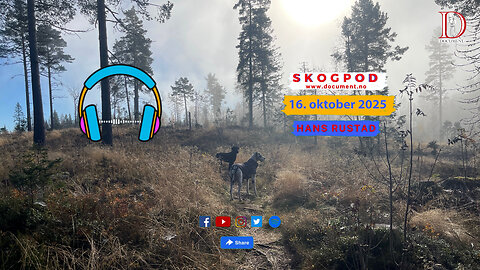 Skogpod 16. oktober 2025