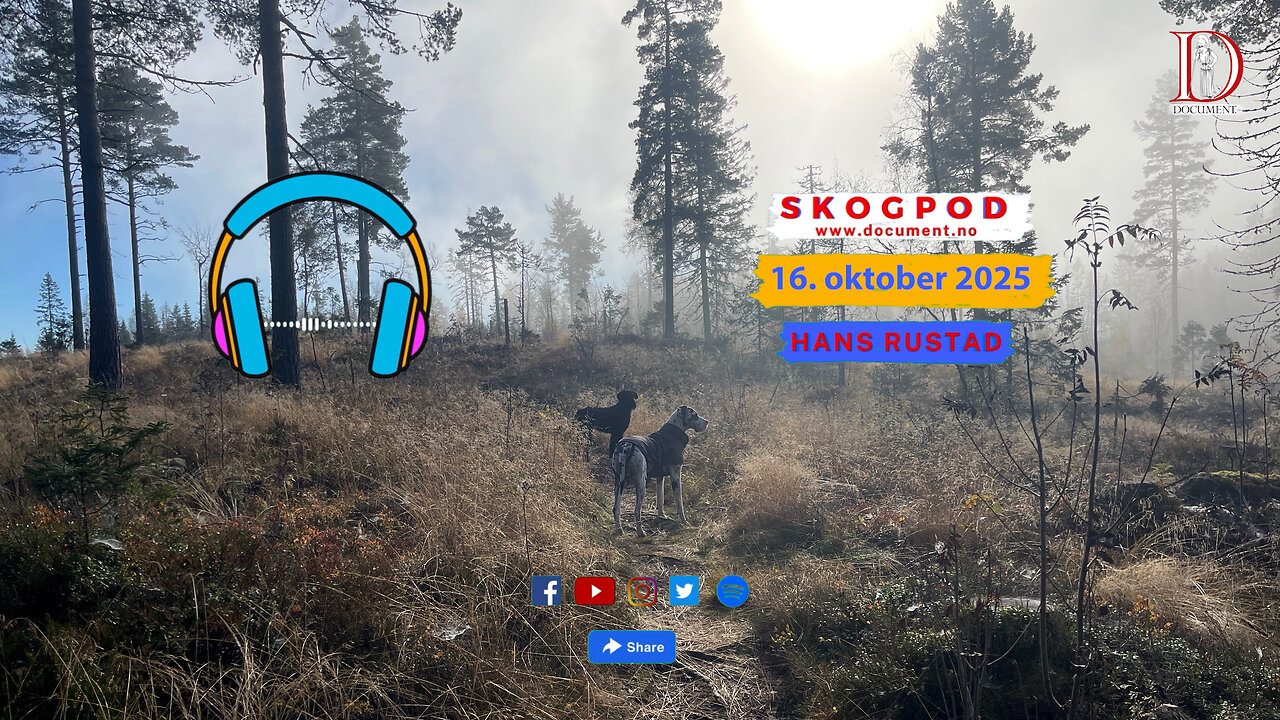 Skogpod 16. oktober 2025