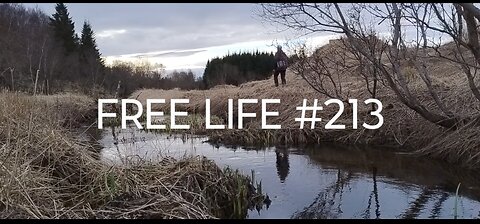 Free Life #213