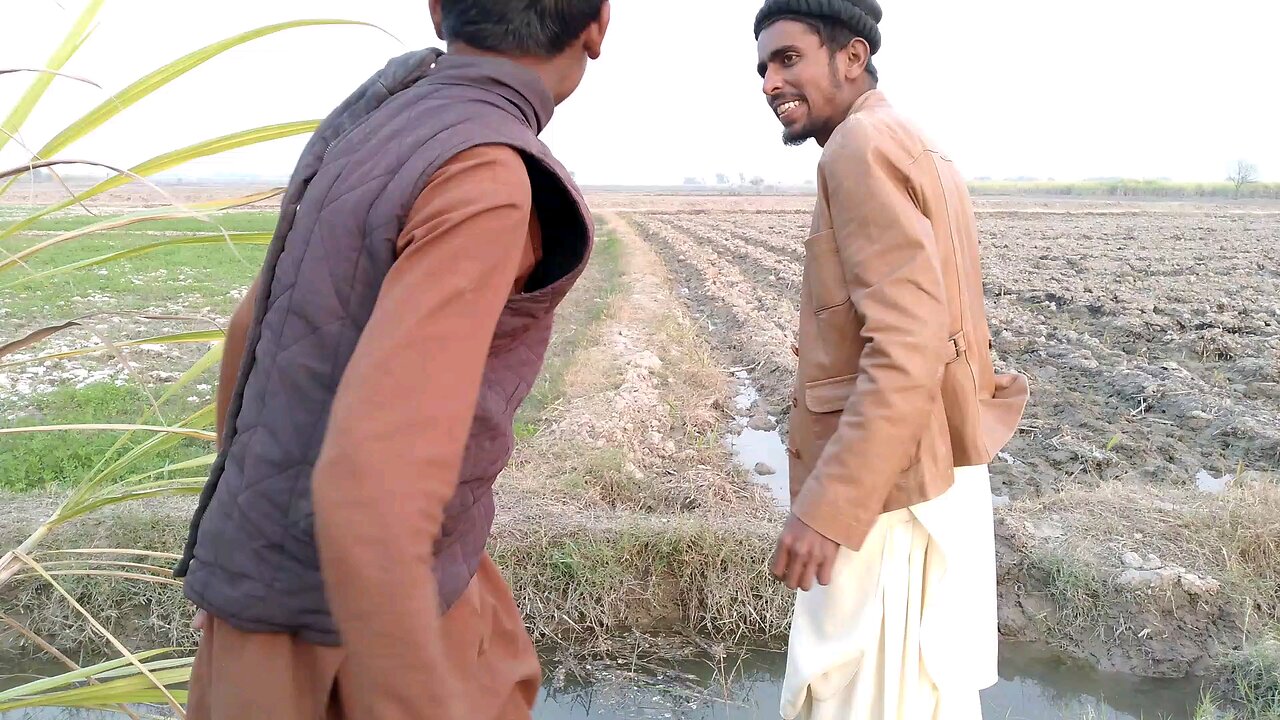 the most beautiful funny video
