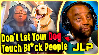 Black Woman LOSES IT Over White Commuter's Dog - JLP: 'They HATE Animals!'