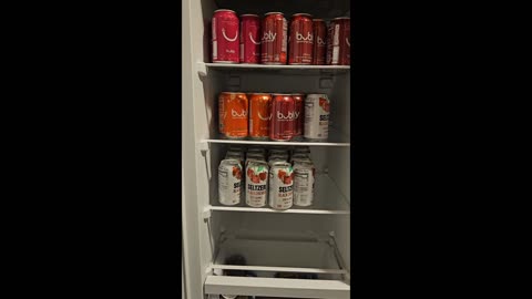 Its 2009, you're home from school and your dad is stocking the fridge with seltzer #asmr