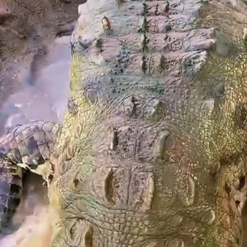 Minae denuncia este tipo de prácticas irresponsables pueden comprometer la vida de turistas