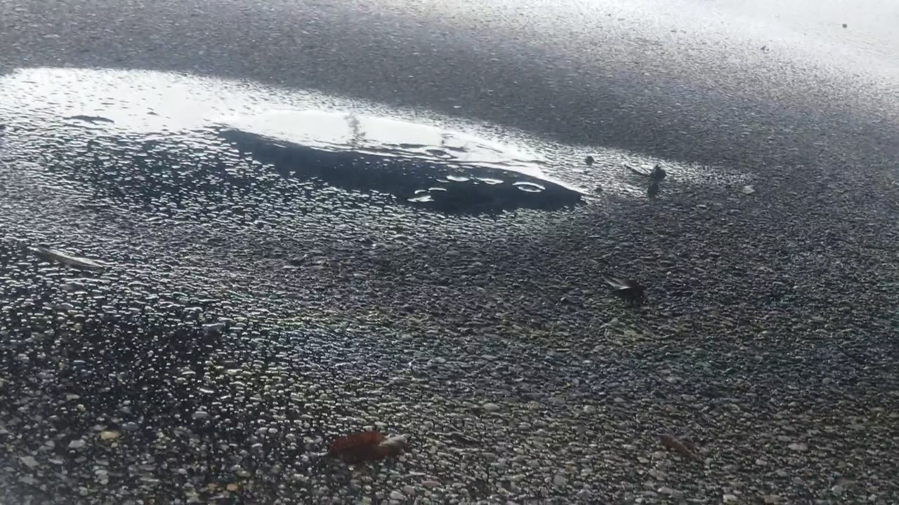 BLOWN MAIN SEAL ON RV