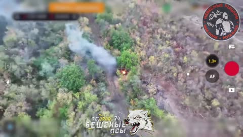 💥🚧 Ukraine Russia War | Ukrainian VAB APC Destroyed in Dnipropietrovsk | RCF