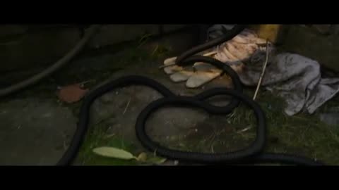 New upcoming Final Destination Bloodlines Movies 2025. (Official Trailer