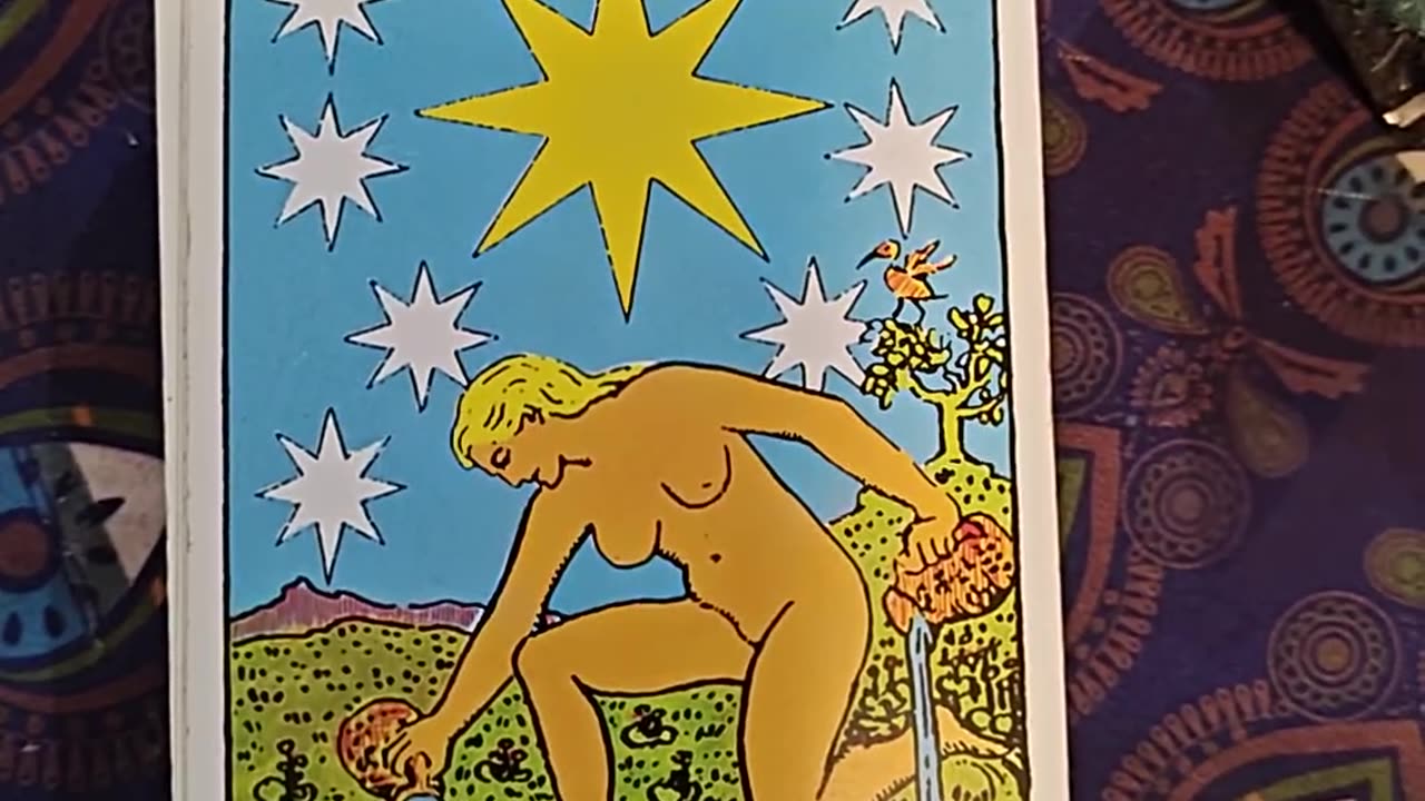 Tarot Card Reading 11/11/25