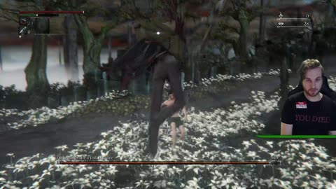 NOTHING equipped but WHIP (Bloodborne)