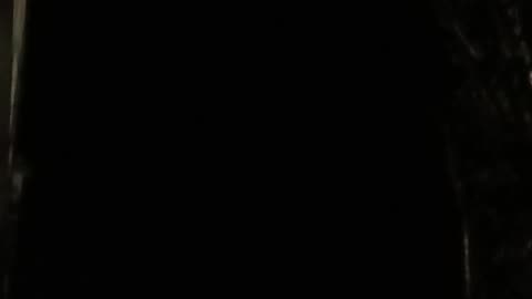 Z63