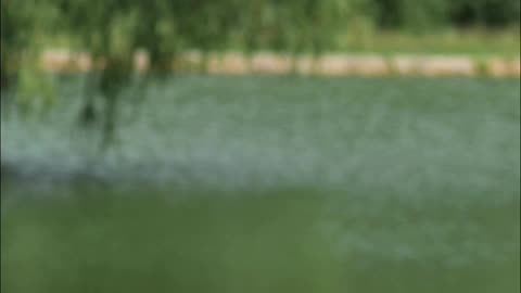 Trust Your Intuition Is Artificial Light Hurting You