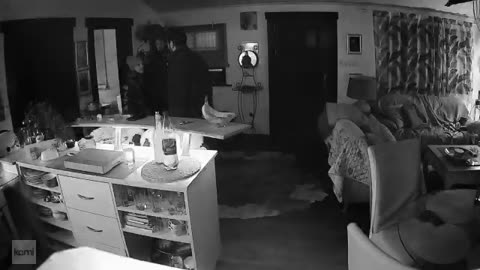 Du liebst mich nicht! Nein !