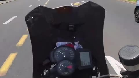 Coastal Cruise #athlone #bikerdog Jonty Knine