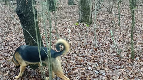 What you do not to be trapped in the tiny camper.