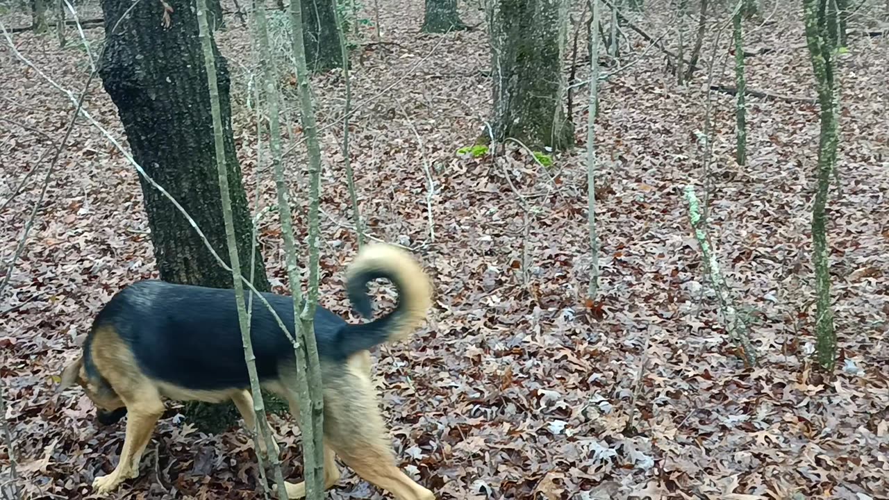 What you do not to be trapped in the tiny camper.