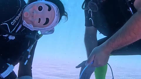 Ship Bottom Cleaning in Masks