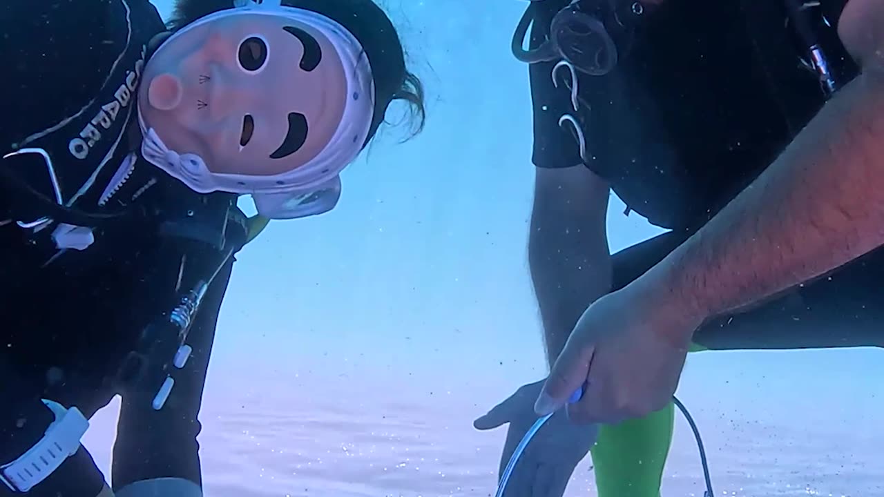 Ship Bottom Cleaning in Masks