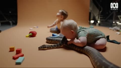 Born Brave: How Do Children Learn to Fear Snakes? | The Science of Fear